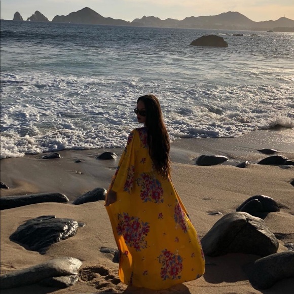 🦋 - Picture 5 of 6